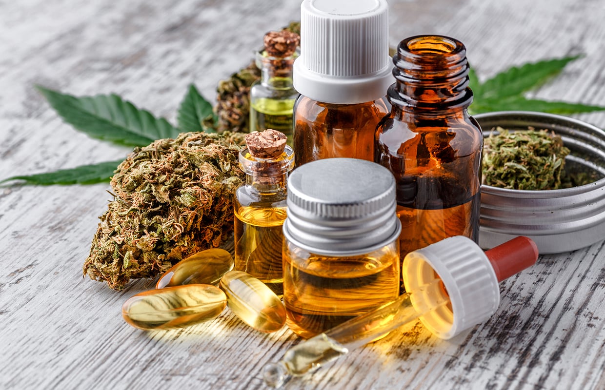 Green leaves of medicinal cannabis with extract oil.Medical marijuana flower buds. Hemp buds medical marijuana concept