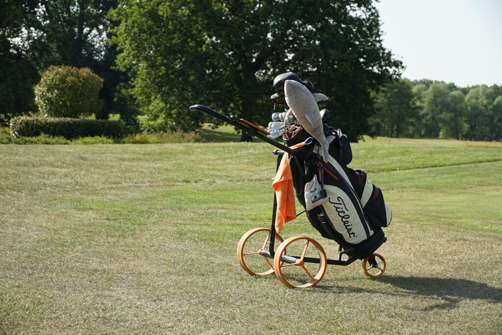 Titleist holds a reputation that stretches far beyond sports branding. It stands as one of the most respected names in golf, known for craftsmanship, consistency and an unwavering commitment to performance. For decades, the brand has supported players at every skill level, from first-time golfers to world-class professionals competing at the highest level. Its products reflect a philosophy rooted in precision, trust and a deep understanding of how golfers think, practice and play.