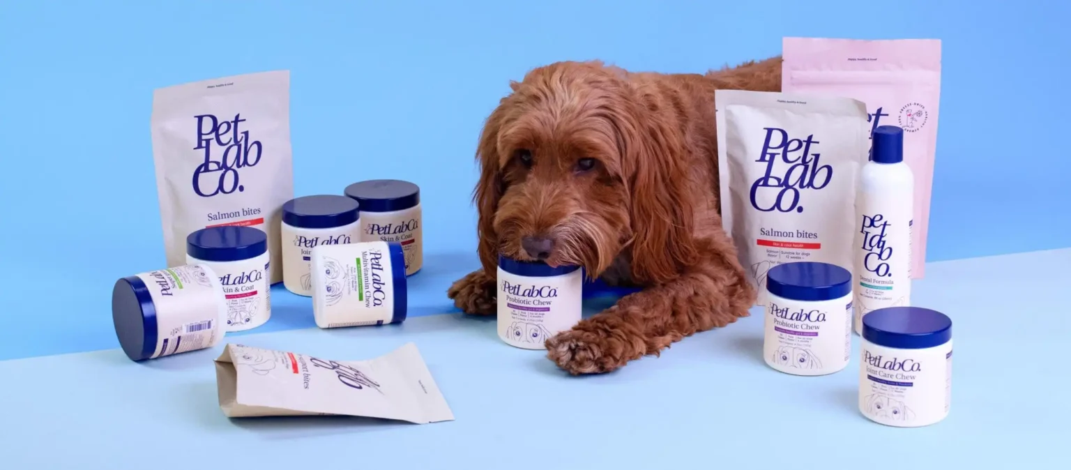 Why Pet Supplements From PetLab Co Make Daily Care Simple And Stress-Free